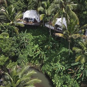 Lintang Luku Tent Resort Ijen, Banyuwangi